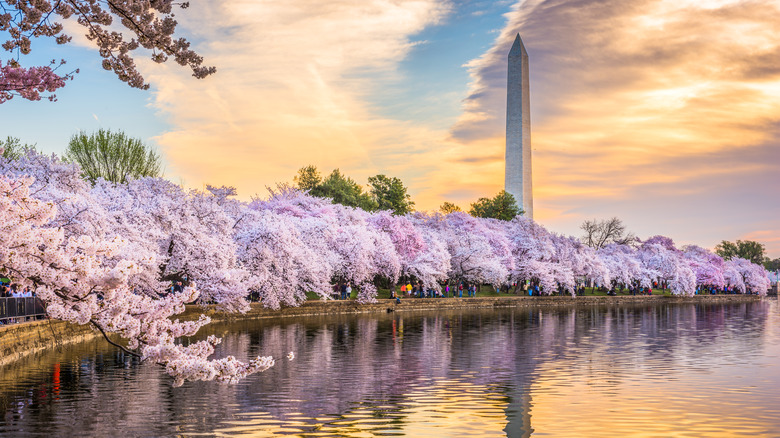 Washington Monument in distance