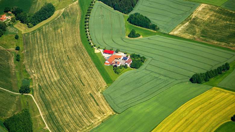 Farmland aerial view