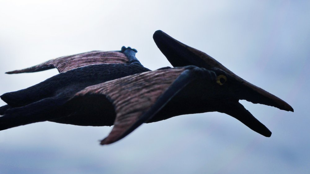 Why Isn't Pterodactyl a Dinosaur?
