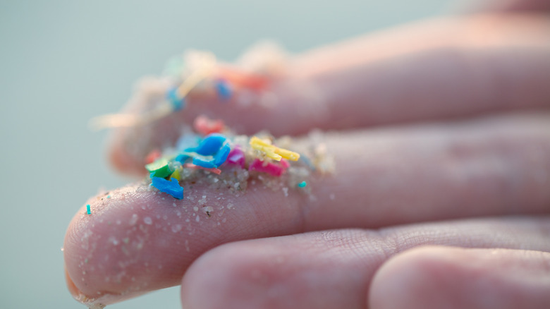 Microplastics on the tip of a person's fingers