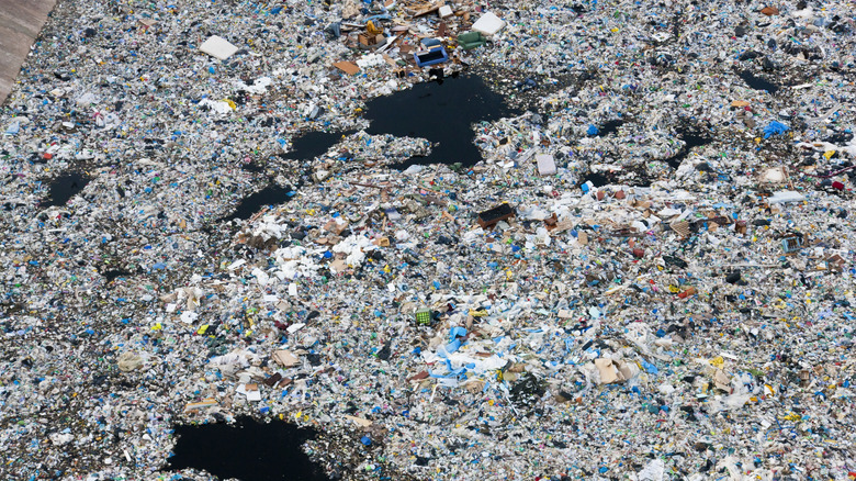 Garbage floating on the surface of water