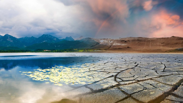 Landscape split into lush dead halves