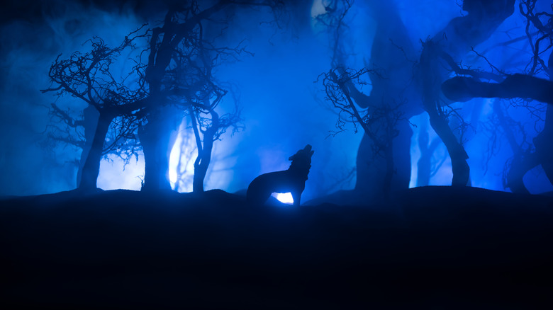Werewolf bays at the moon