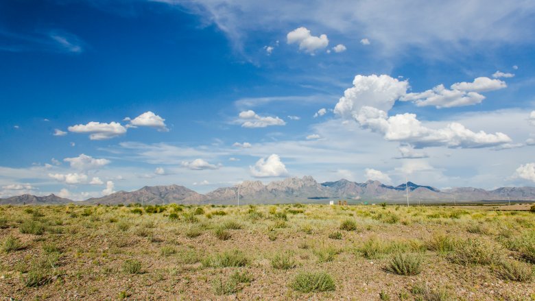 new mexico desert organ mountains