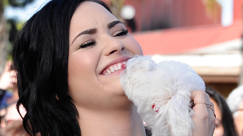 Demi Lovato with their dog, Buddy