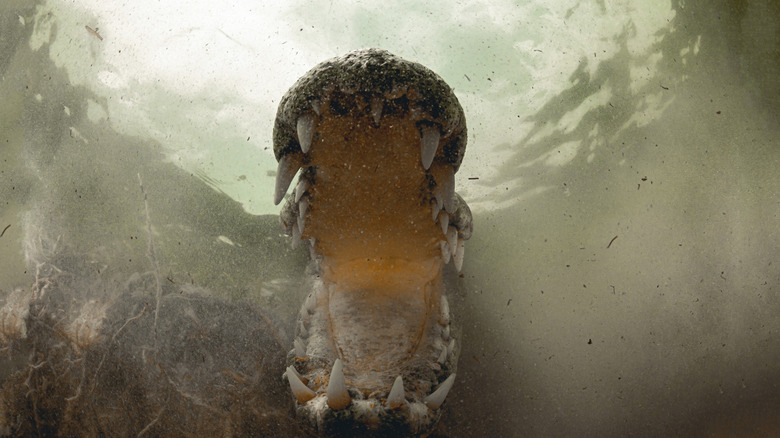 ancient dinosaur eating crocodile