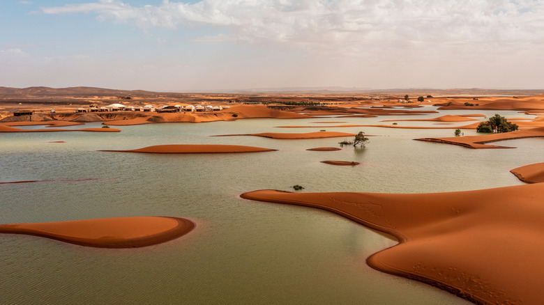seasonal lake in the moroccan sahara