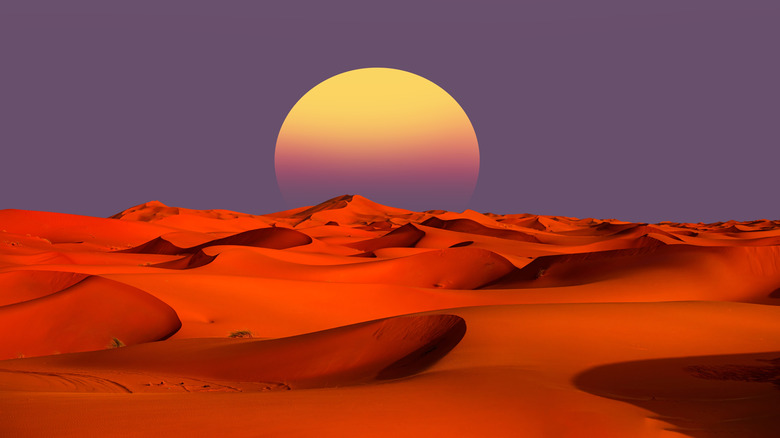 orange sand dunes in the sahara