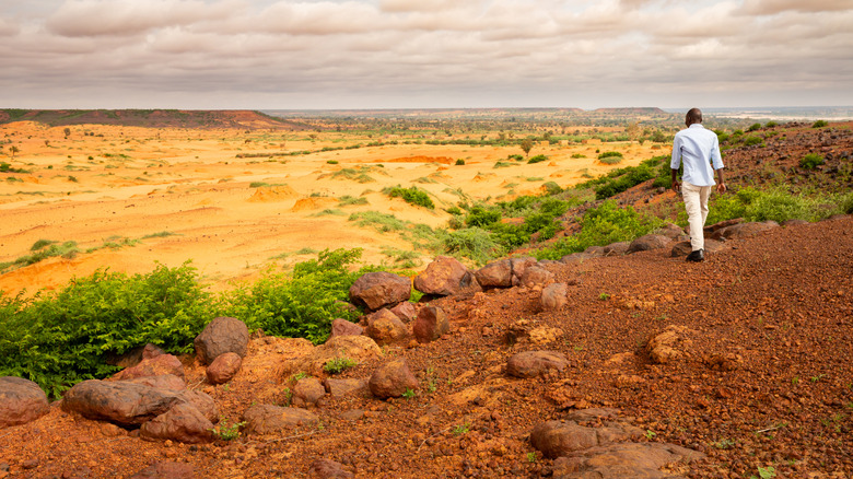 man walk on dunes near green vegetation in Niger
