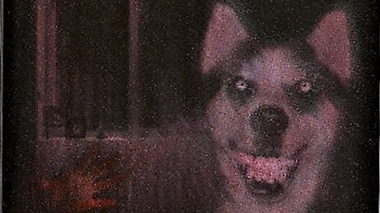 "Smile Dog" photo