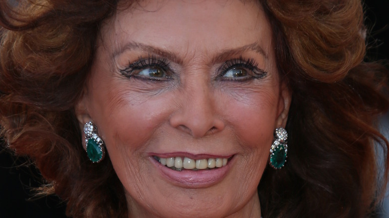 The elegant Sophia Loren