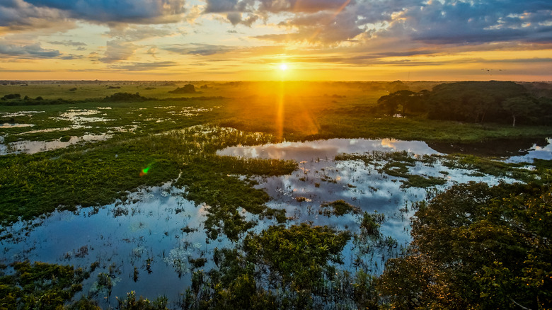 A wetlands 