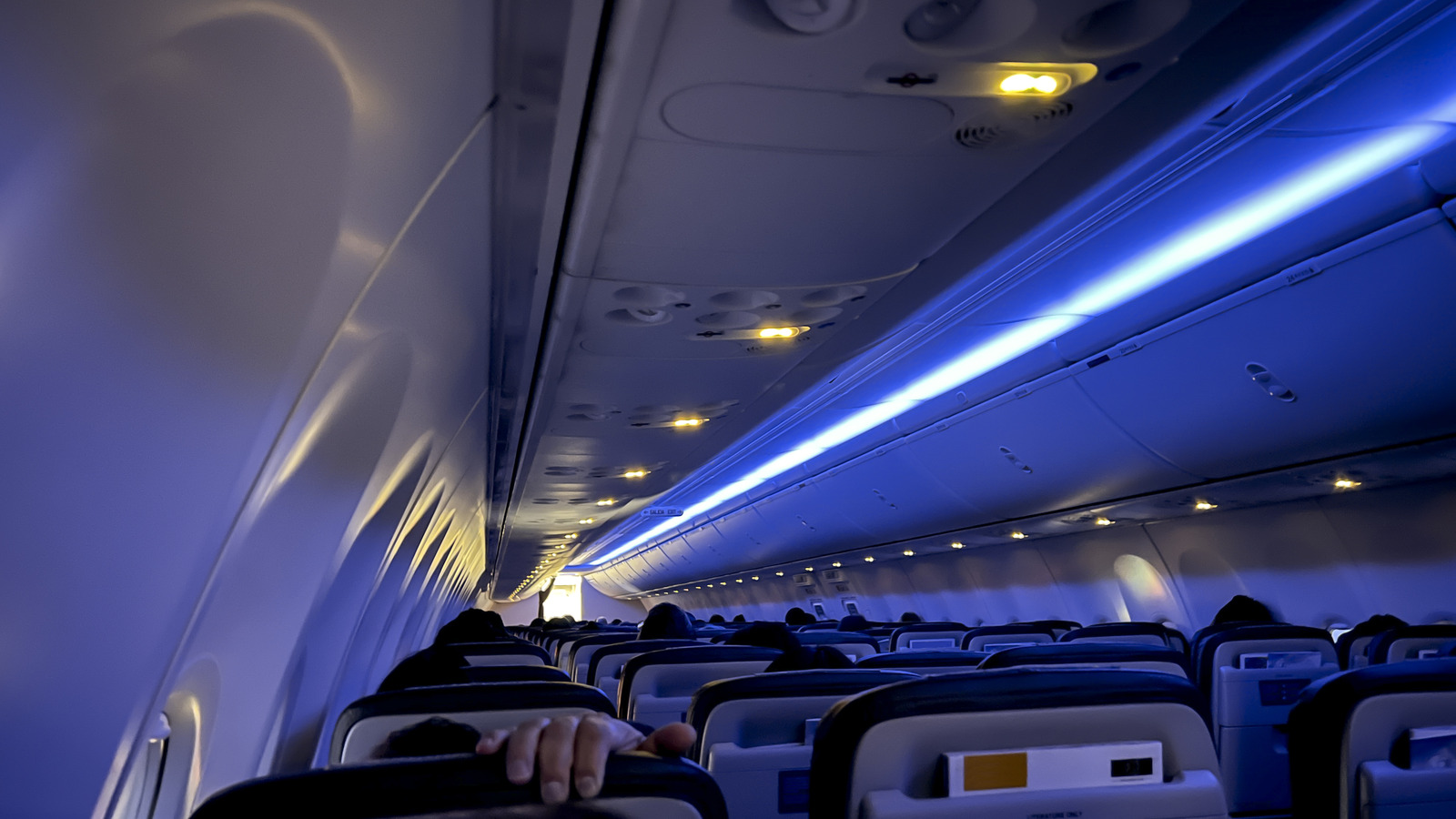 The Science Behind Why Cabin Crews Dim The Lights During Takeoff And