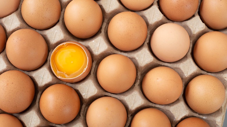 Science Explains Why Rotten Eggs Float