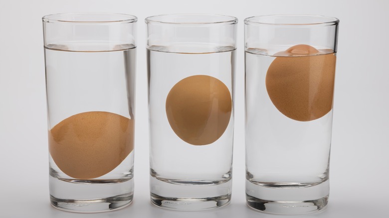 Egg float test