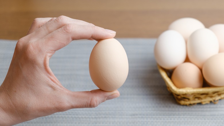 Hand holding egg