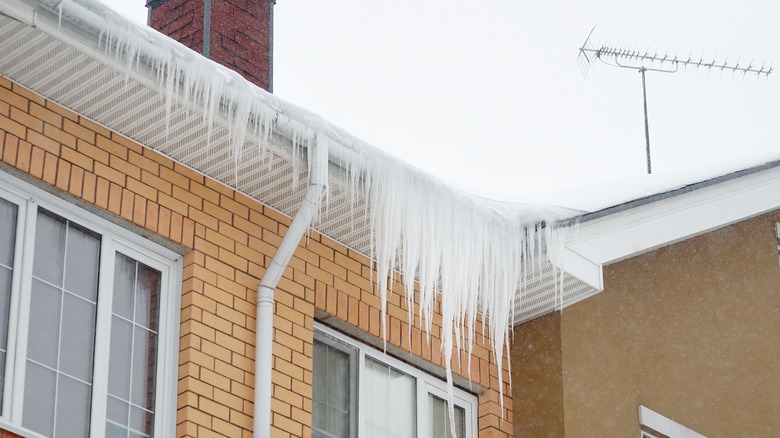 icicles on a roof