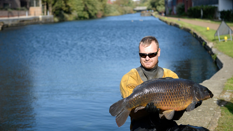regant's canal fishing