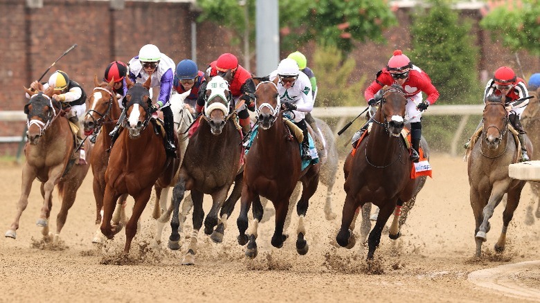 The Shady Side Of Churchill Downs