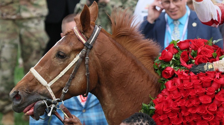 Rich Strike looking stressed in the winner's circle