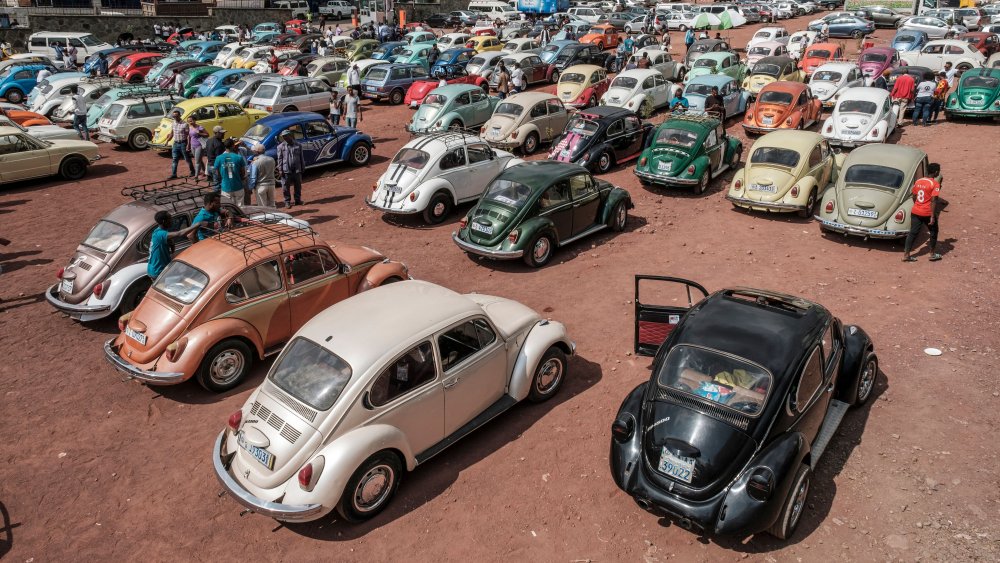 Volkswagen beetles