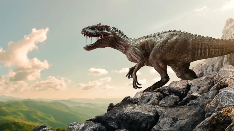 T-Rex on a mountain top