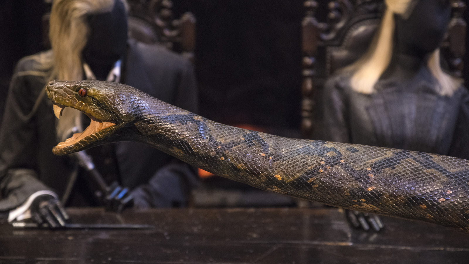 Harry Potter fans come up with a wild theory that Nagini is Voldemort's MUM  | The Sun