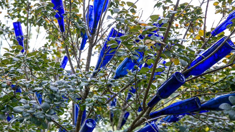 Bottle trees