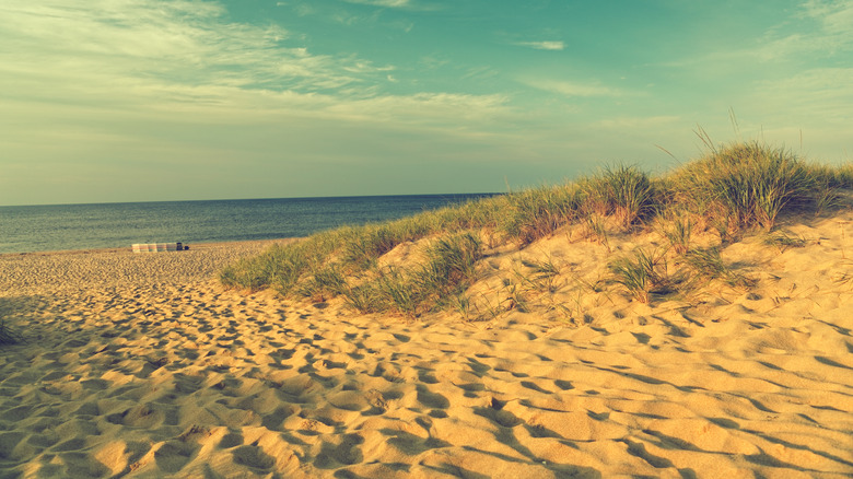 Race Point Dunes, Provincetown MA