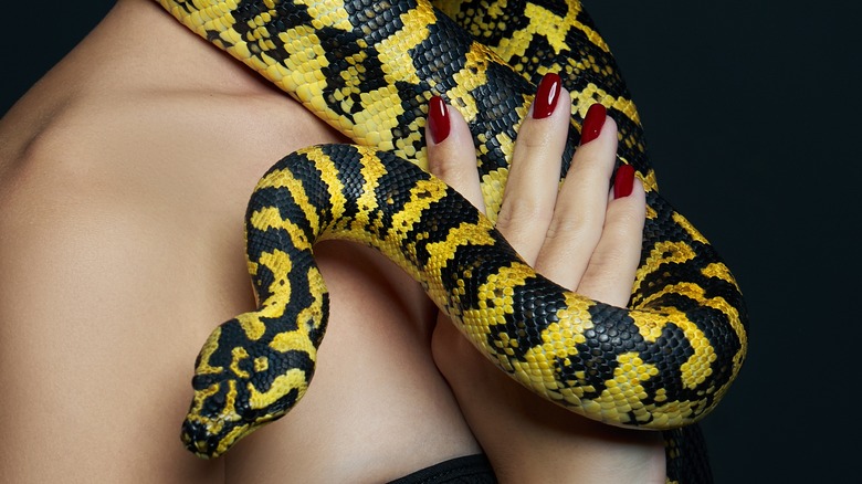 Snake wrapped around lady