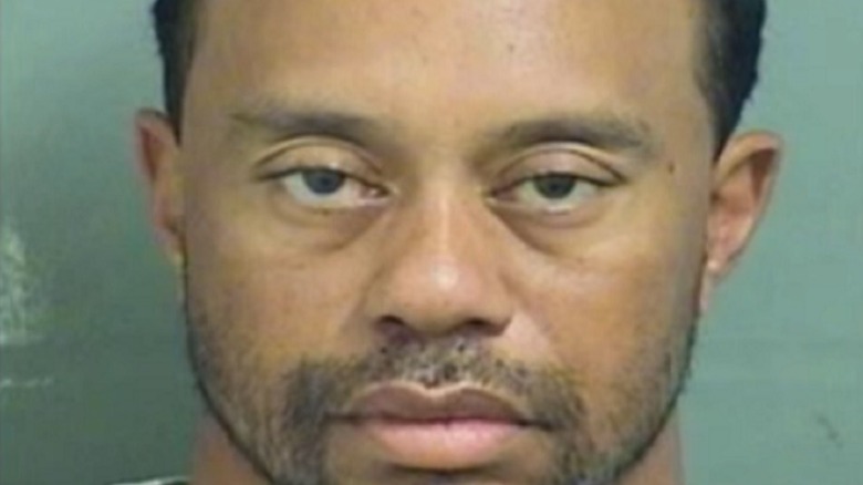 Tiger Woods mugshot 