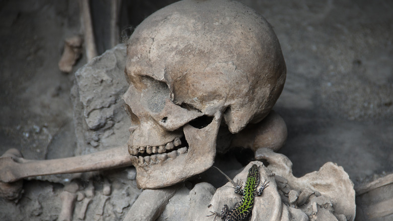 skull and bones found near herculaneum