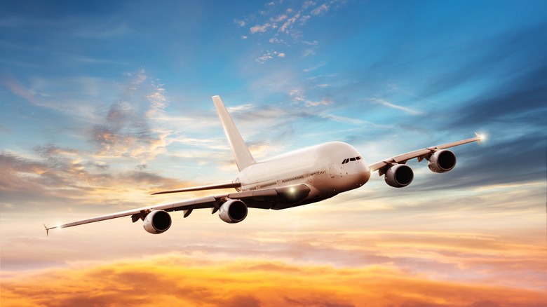 plane flying at sunset