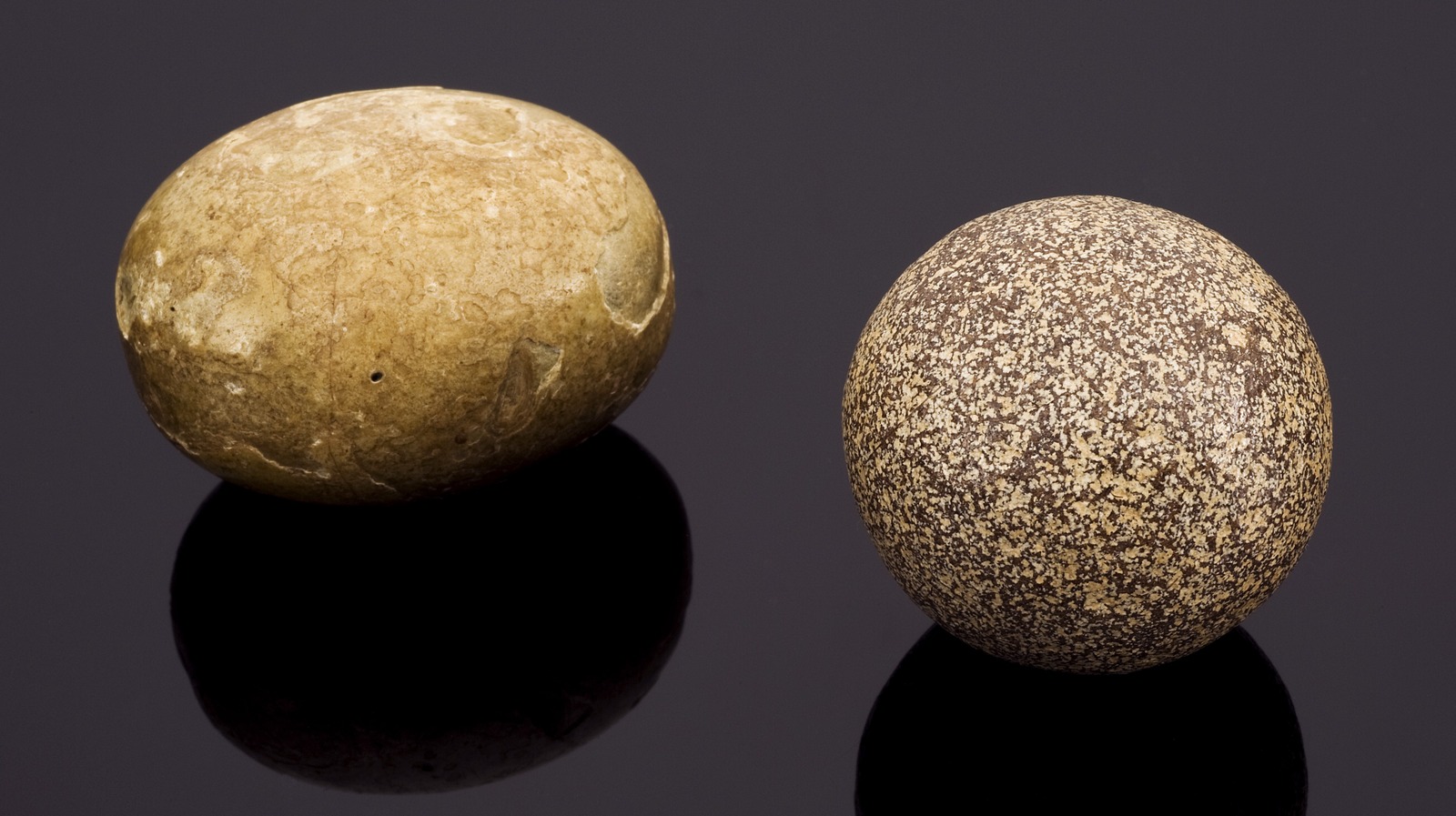 The Strange History Of Madstones In Medicine