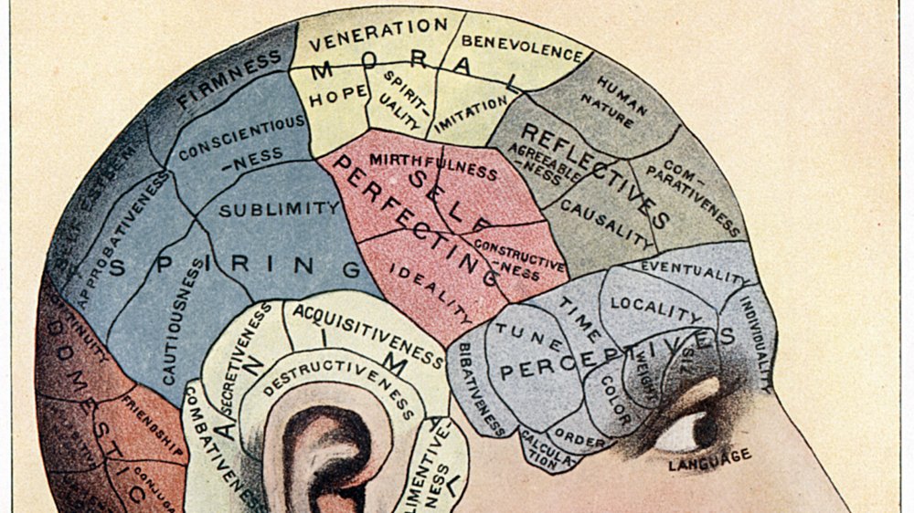 phrenology chart