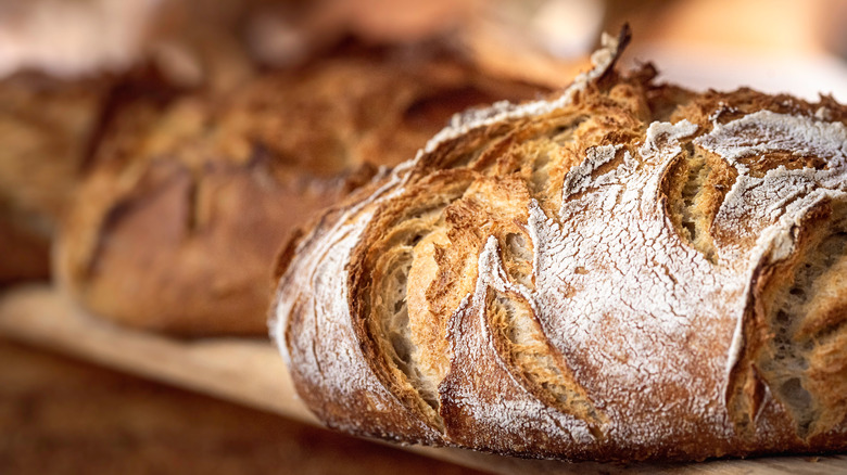 loaf of freshly baked bread