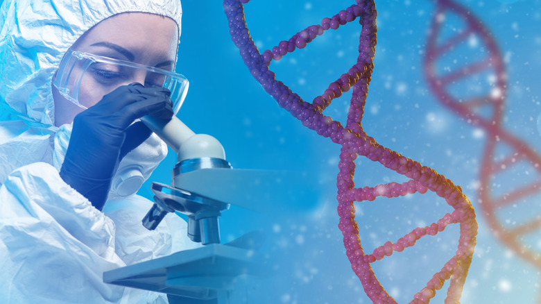 DNA person microscope