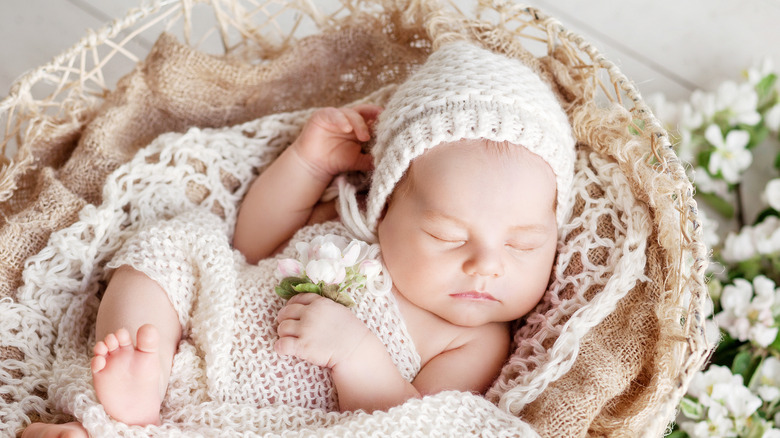 infant in basket