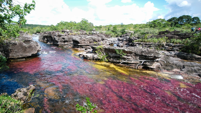 view of Caño Cristales