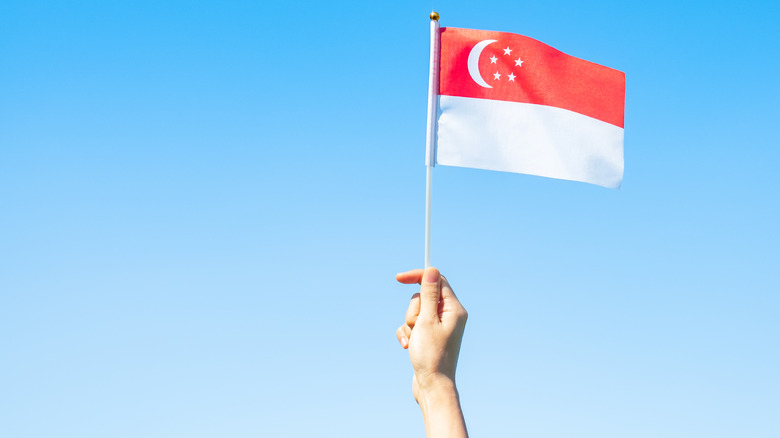 Hand holding flag of Singapore