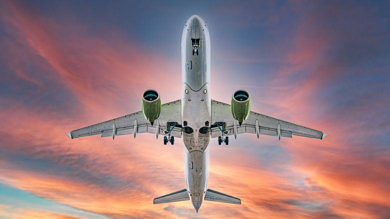 Plane in flight