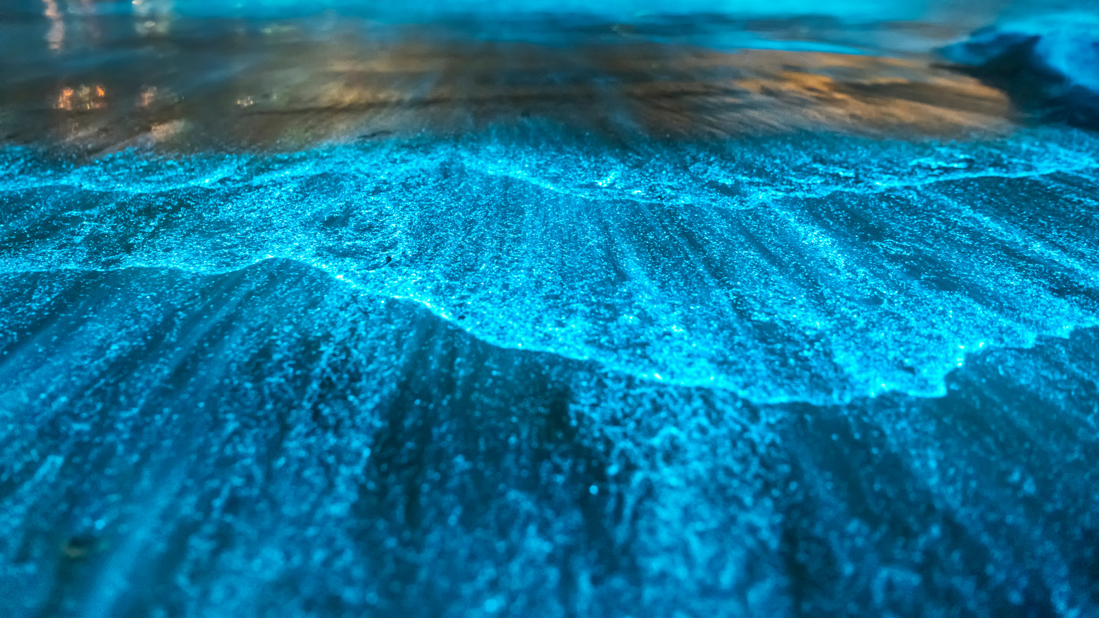 The Surprising Reason Some Bodies Of Water Glow In The Dark