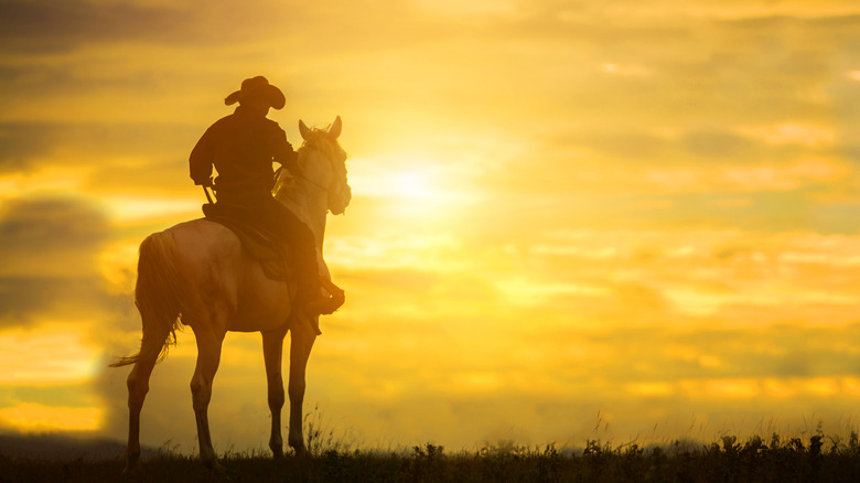 Cowboy horseback looking at sky