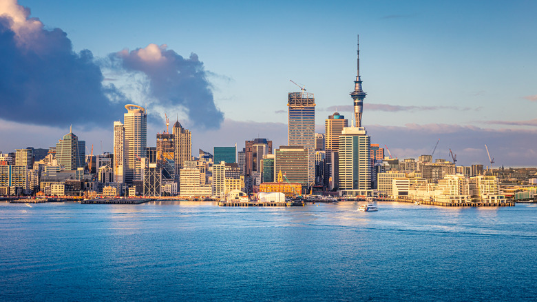 skyline of auckland,new zealand