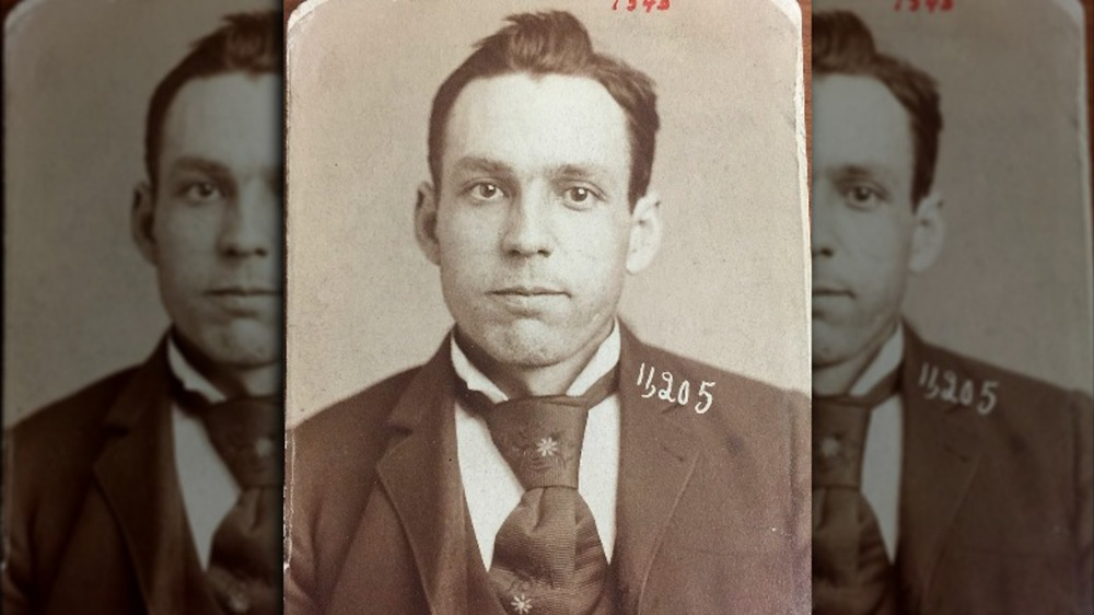 The Handsome Bandit Marion Hedgepeth