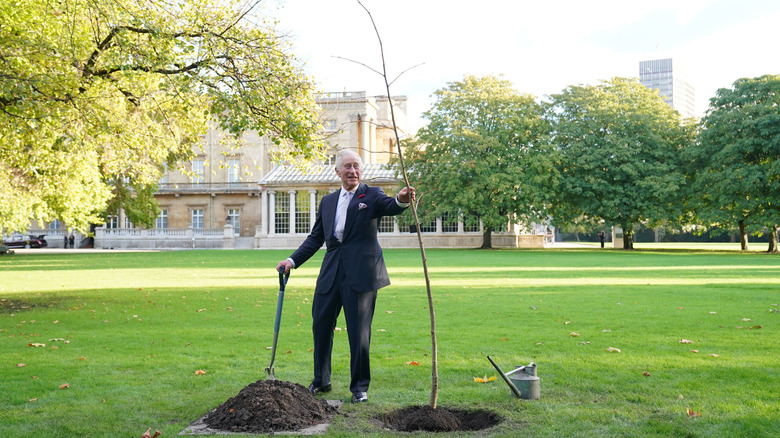 Prince Charles planting a tree