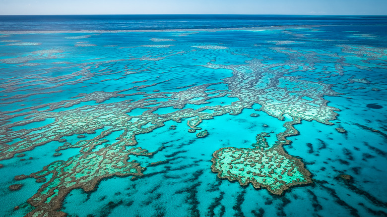 Great Barrier Reef from above