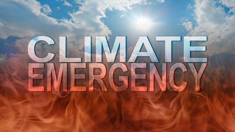 Graphic reading climate emergency