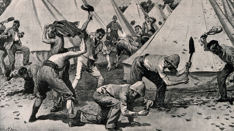 Soldiers fight off locust swarm