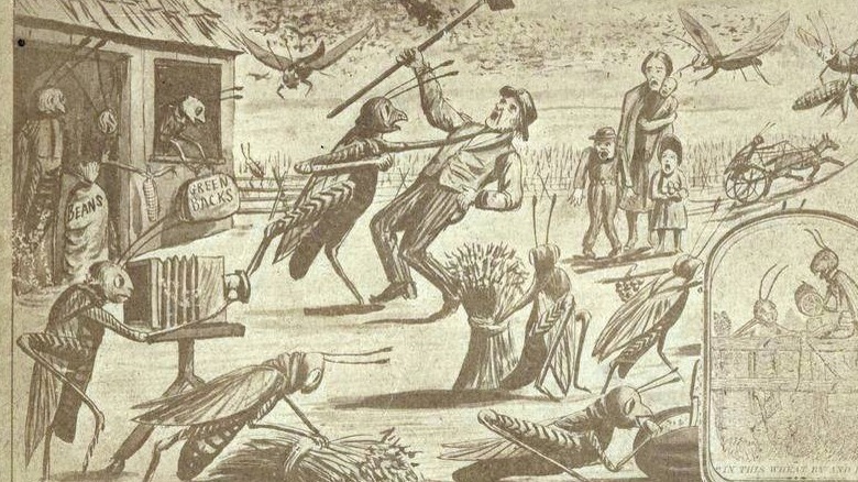 Kansas farmers battle locusts